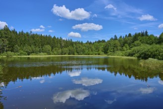 Small lake surrounded by forest, reflecting white clouds in the clear water under a deep blue sky,