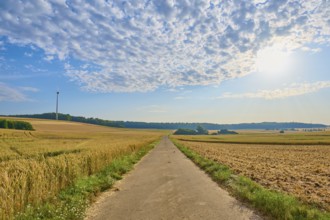 A tarmac track between fields under a sunny, cloudy sky, summer, Höhefeld, Wertheim,