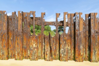 Old rusty broken steel sheet piling sea wall coastal defence, River Deben, Bawdsey, Suffolk,