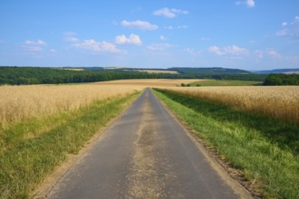 Long country road through golden and green fields under a blue sky with white clouds, summer,