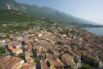 Mediterranean roofs from Scaliger Castle, Malcesine, Veneto, Italy, Europe
