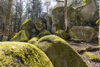 Granite rock Günterfelsen near the source of the Danube, Furtwangen in the Black Forest,