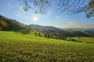 Sunlight falls on the green meadows of a hilly landscape under a clear blue sky, Vöckelsbach,