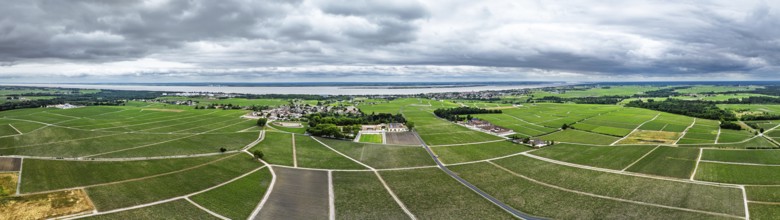 Panorama of Chateau Pontet-Canet Vineyard and grape fields around Pauillac and Gironde Estuary from