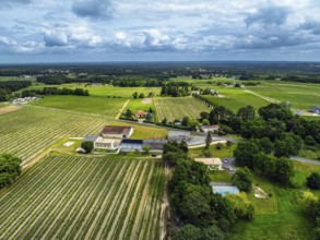 Vineyards and grape fields around Bordeaux from a drone, Saint-Mariens, Gironde,