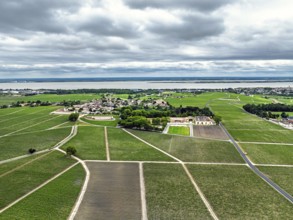 Chateau d'Armailhac Vineyard and grape fields around Pauillac and Gironde Estuary from a drone,