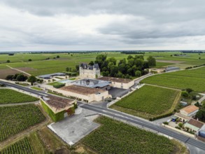 Chateau Pichon Longueville Baron Vineyard and grape fields around Pauillac from a drone, Bordeaux,