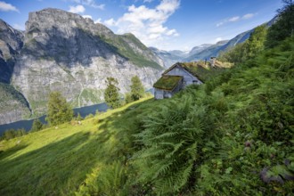 Blomberg Gård, historic mountain farm with grass roof on a steep mountainside above the