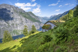 Blomberg Gård, historic mountain farm with grass roof on a steep mountainside above the