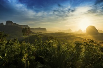 Panorama, Din Daeng Doi, sunrise, Krabi, Thailand, Asia