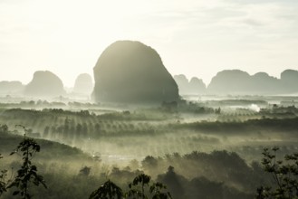 Panorama, Din Daeng Doi, sunrise, Krabi, Thailand, Asia