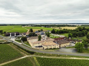 Vineyard of Chateau Beychevelle from a drone, Saint-Julien-Beychevelle, France, Europe