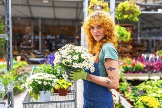 Redhead gardener woman holding a pot with white daisies in a greenhouse, gardening, small business