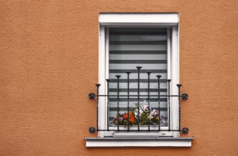 The window