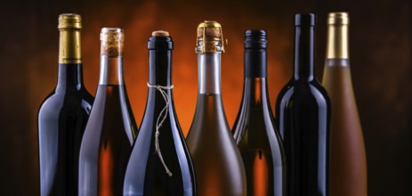 Composition with bottles of different sorts of wine