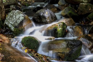 Cascade, Jourama Falls, Paluma Range National Park, Queensland, Australia, Oceania