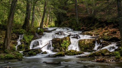 Selke Waterfall in the Harz Mountains Waterfall