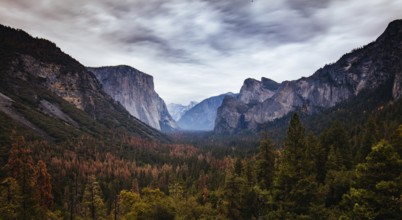 The iconic view of Yosemite Valley and the magnificent El Capitan in a storm from Tunnel View in