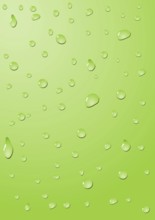 Drops on a green surface