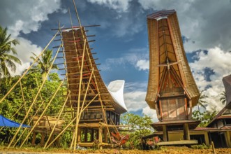 Photo of building up of wooden tongkonan, traditional ancestral house with boat-shaped roof in