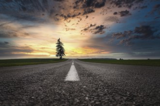 Ground level view of a rural tarred road at sunset between lush green fields with a view along the