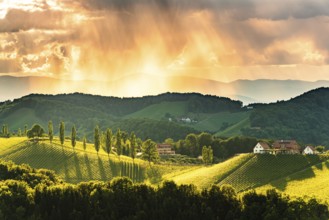 Beautiful landscape of Austrian vineyards in south Styria. Famous Tuscany like place to visit.