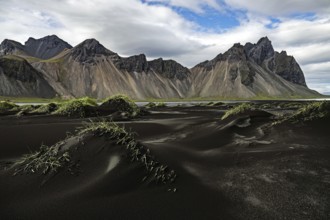 Vestrahorn, Iceland, grass, mountains, Europe