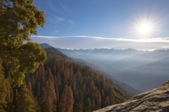 Autumn sunrise over redwood trees at Moro Rock in Sequoia National Park, California, USA, North