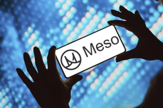 February 20, 2024, Brazil. In this photo illustration, the Meso Network logo is displayed on a