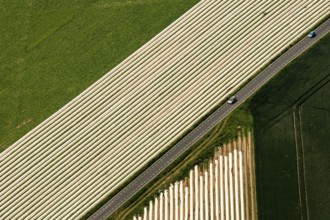 Spagel fields on the Lower Rhine