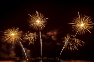 Real Fireworks display celebration, Colorful New Year Firework