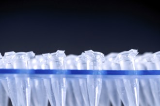 Science Plastic Test Centrifuge Tubes