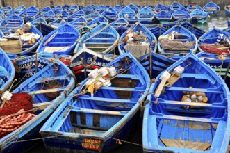 Essaouira, Morocco, North Africa, Africa, Close-up of many closely moored boats, prepared for