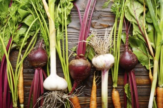 Vegetarian background of fresh organic beetroots green garlic and carrots on kitchen wooden rustic