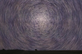 Star Trails over filed with lonely tree. Night sky startrails