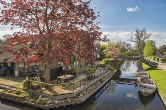 Giethoorn Netherlands, city skyline at canal and traditional house in Giethoorn village
