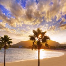 Alcudia Majorca at sunset on the beach Mallorca Balearic islands