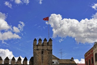 Seville, Andalusia, Spain, Europe, A medieval building with a tower and flag against a clear sky,