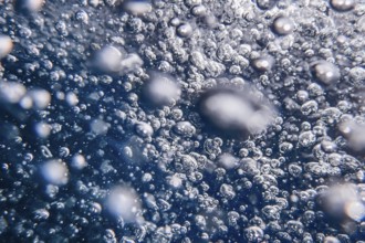 Abstract Bubbles in Water, Air Bubbles Water Background
