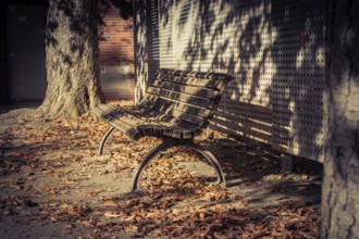 An empty park bench surrounded by autumn leaves, casting shadows and radiating silence, On the