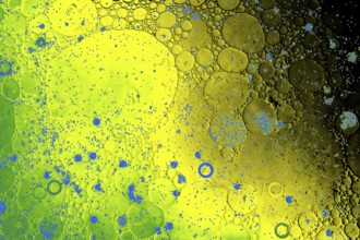 Oil bubbles inside water base form patterns