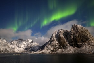 Northern Lights (Aurora borealis), Aurora Borealis, Lofoten, Norway, Europe