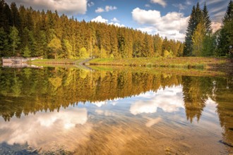 Small reservoir between Schönheide and Carolagrün in the western Ore Mountains, Schönheide, Saxony,