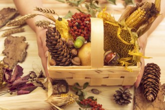 Autumn products such as corn, sunflower, apple, pumpkins in a wooden basket decorated with other