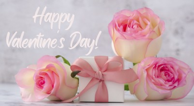 Gift box with tied ribbon bow pink roses. Greeting card background. Present for springtime holidays