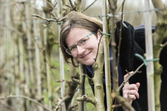Young woman in winter clothes posing between low fruit trees, Zoutleeuw, Belgium, Europe