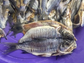 Close-up of dried fishes, more in background, at purple plate at a market, Santa Cruz de Mompox,