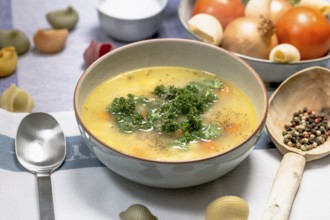 Chicken noodle soup with carrots and parsley