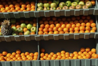 Fresh oranges suitable for juice, strudel