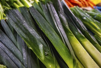 Vegetables from the weekly market market, fresh leek